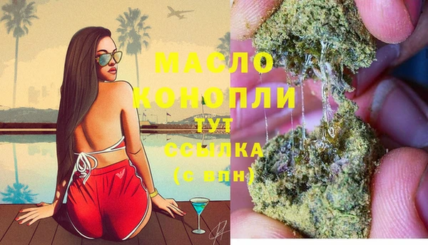 мет Алексин