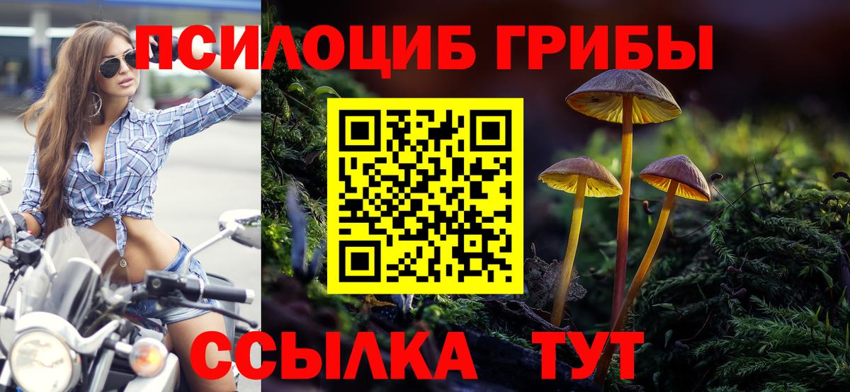 сколько стоит  Галлюциногенные грибы мухоморы  Вход с VPN  Старая Купавна  Галлюциногенные грибы MAGIC MUSHROOMS 